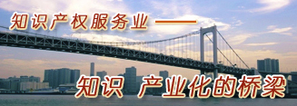 知識産權服務業知識産業化的橋梁