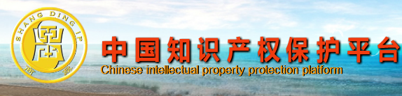 中国知识产权保护平台